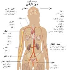 أعراض التهاب الرحم بعد سن اليأس