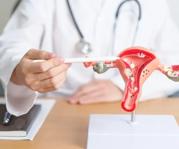 أمراض النساء في الرحم