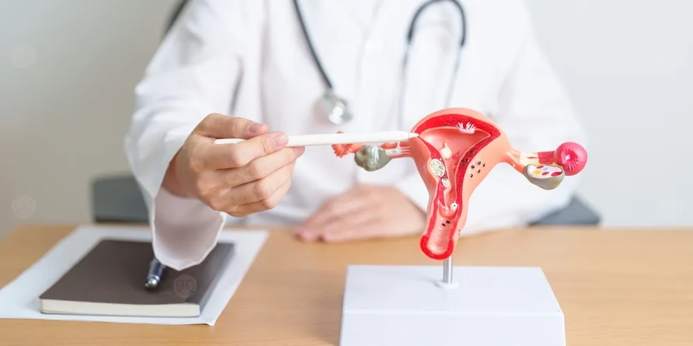 أمراض النساء في الرحم