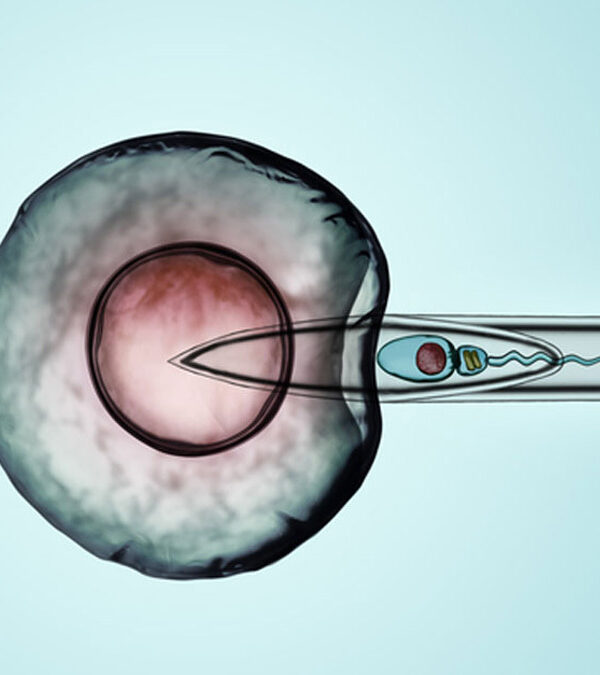 اعراض نجاح الحقن الصناعي