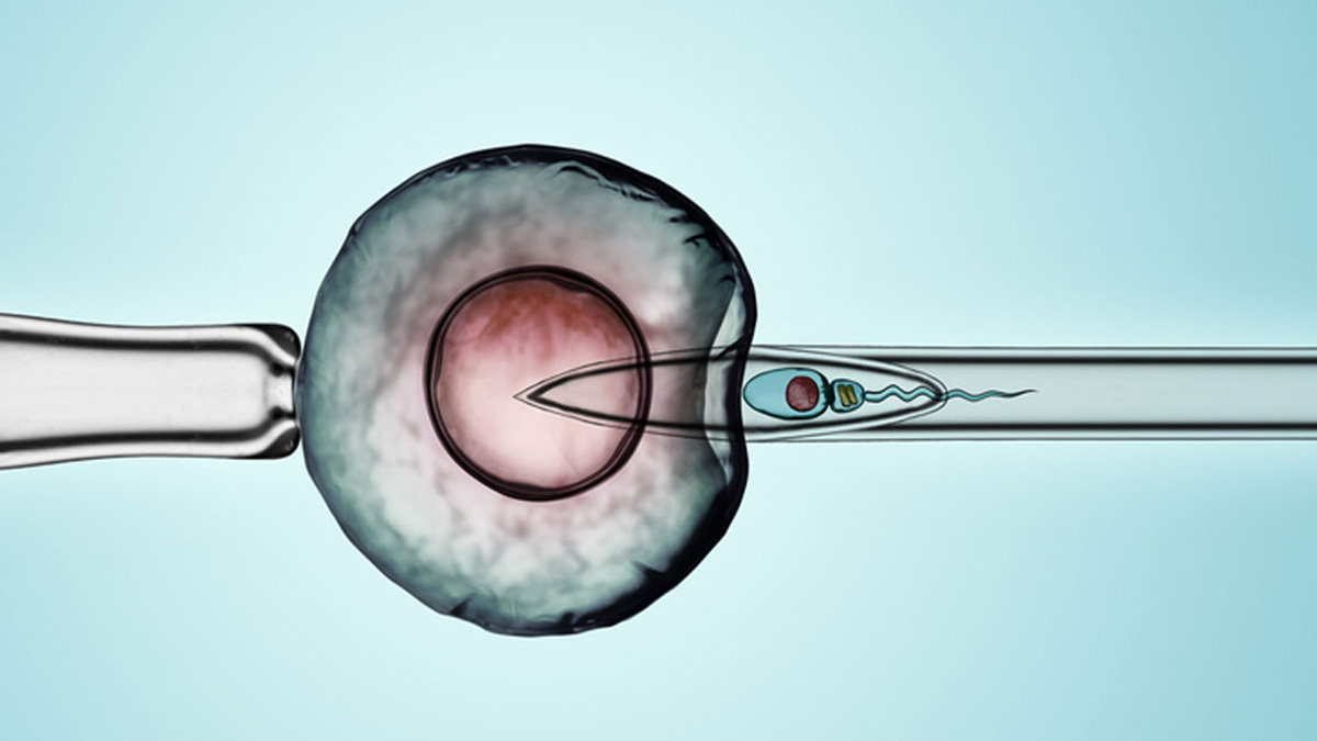 اعراض نجاح الحقن الصناعي