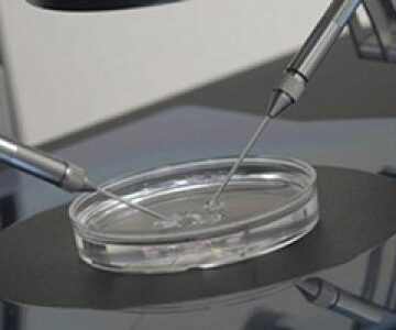 اختبار الخصوبة المنزلي للرجال