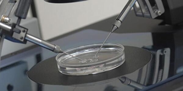 اختبار الخصوبة المنزلي للرجال