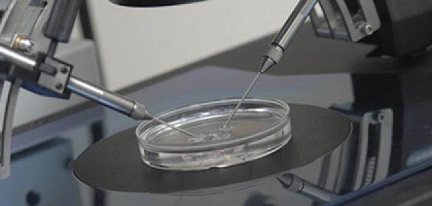 اختبار الخصوبة المنزلي للرجال