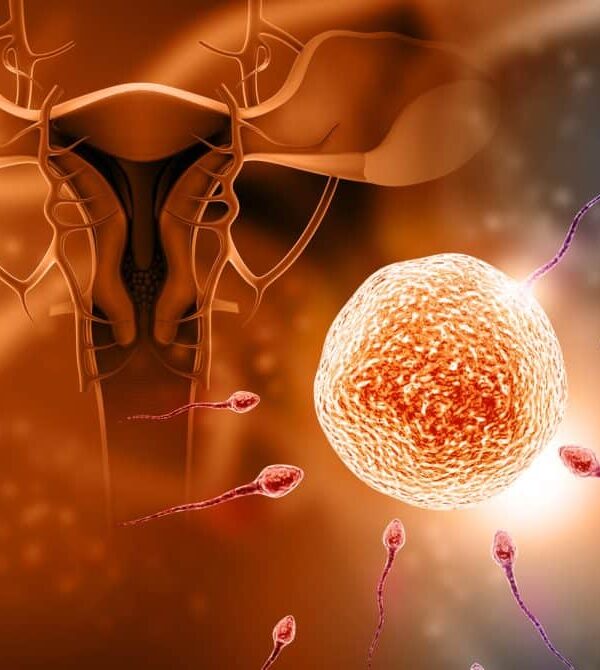 تحليل العقم عند النساء