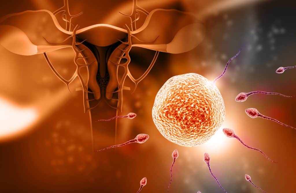 تحليل العقم عند النساء
