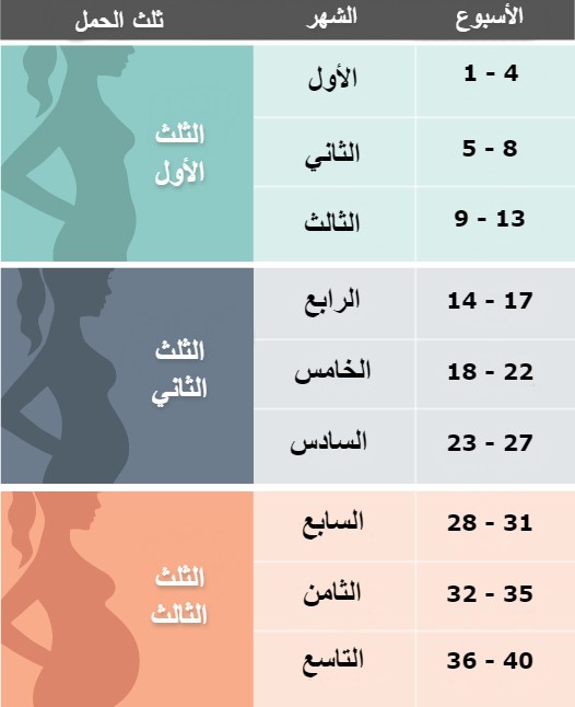 متابعة الحمل بالاسابيع