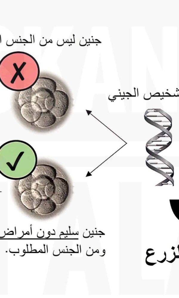 طريقة تحديد نوع الجنين بالجماع