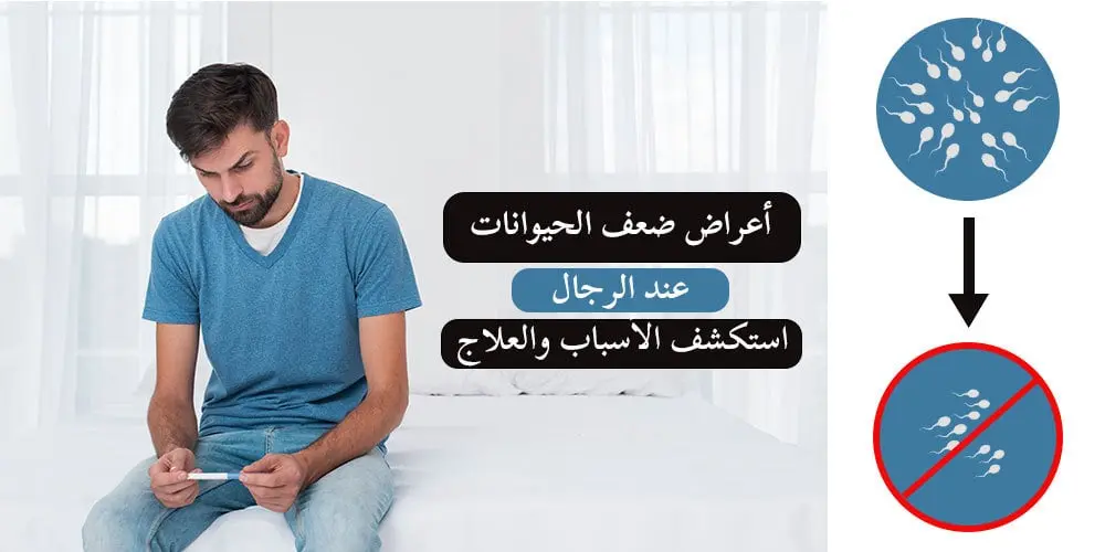 علاج ضعف الحيوانات المنويه