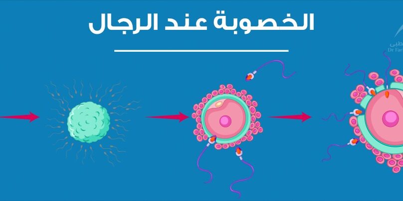 علامات زيادة الخصوبة عند الرجل