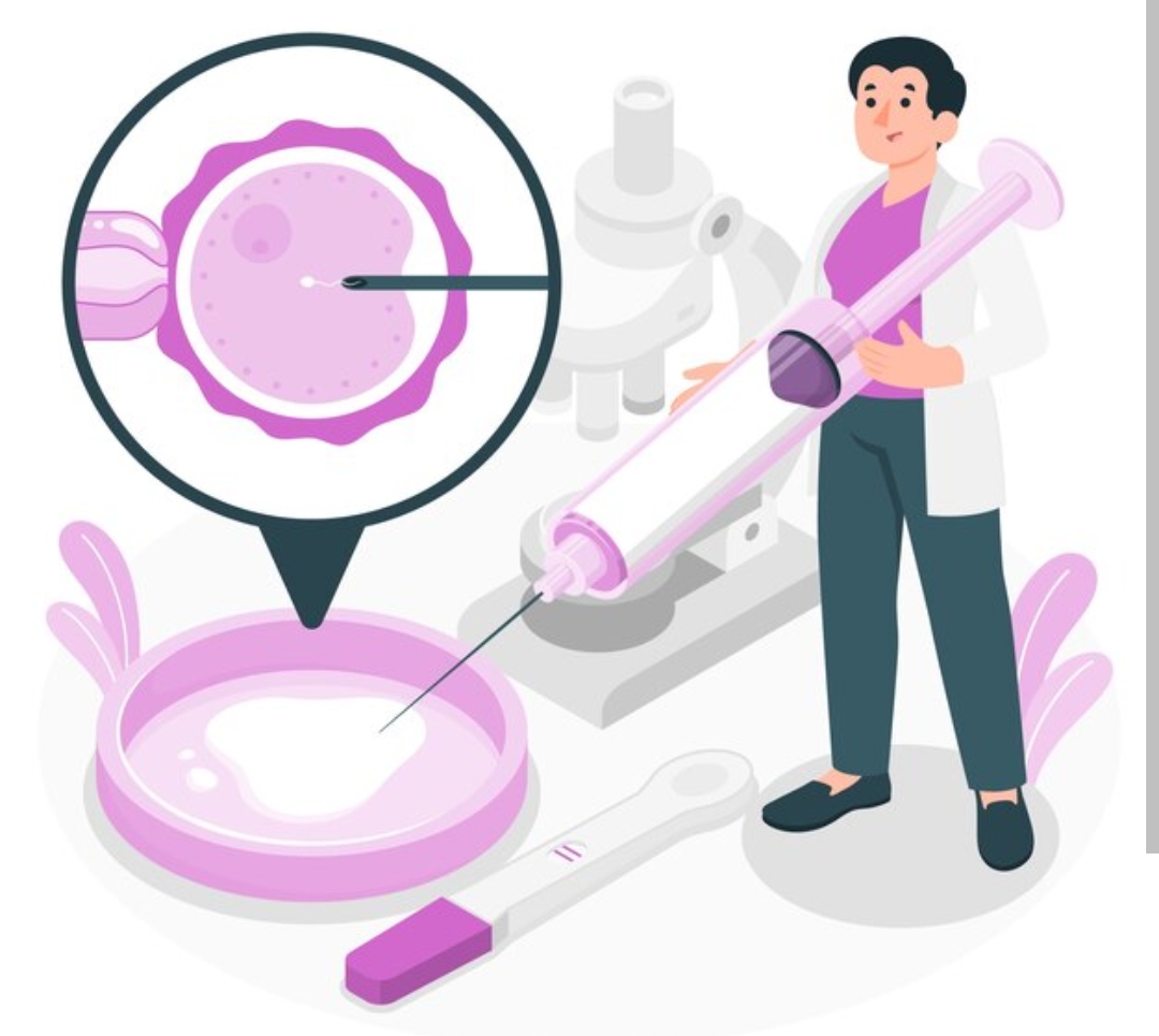 كم تستغرق عملية تحديد نوع الجنين