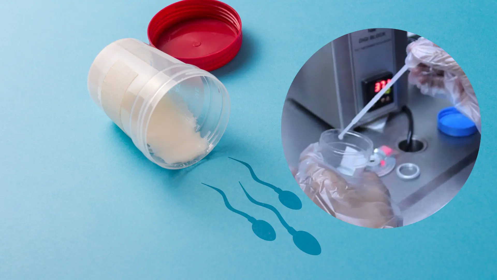 ما هو تحليل السائل المنوى