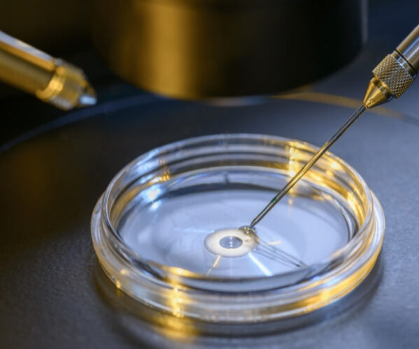 متى يظهر الحمل بعد الحقن الصناعي