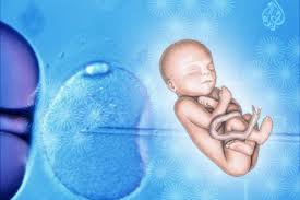 معمل أطفال الأنابيب