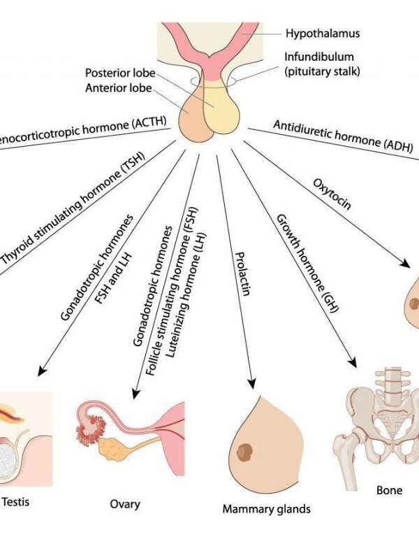 معمل هرمونات للإنجاب